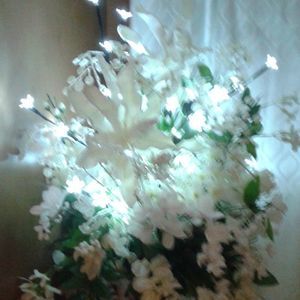 Meet your Posher, Bella